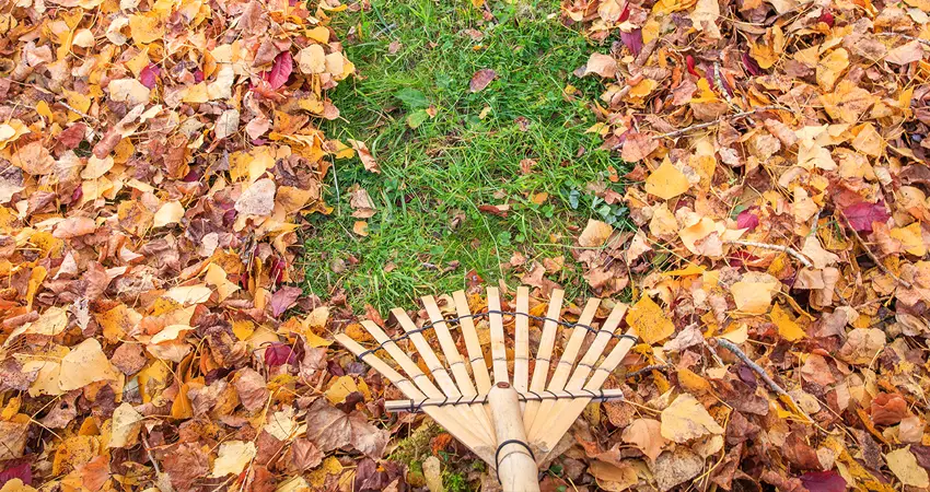 HOA Fall Landscaping