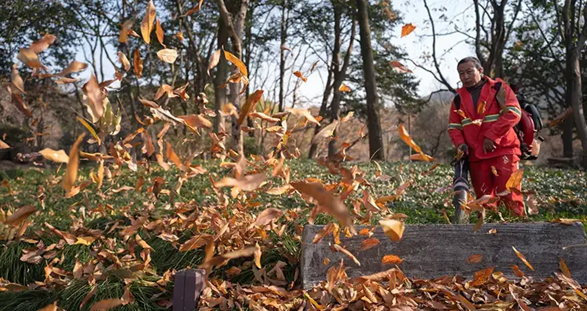 HOA Winter Checklist: Seasonal Maintenance To Prep Your Community For Cold Weather