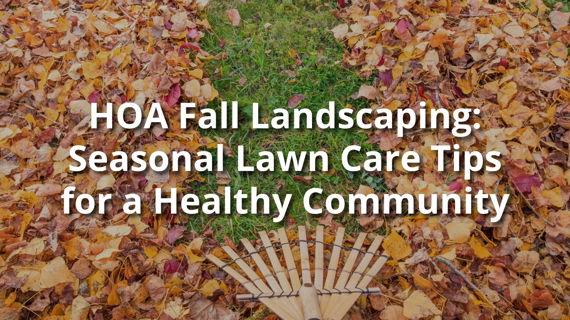 Rake resting on a lawn covered with colorful fall leaves, symbolizing HOA fall landscaping and seasonal lawn care preparation.