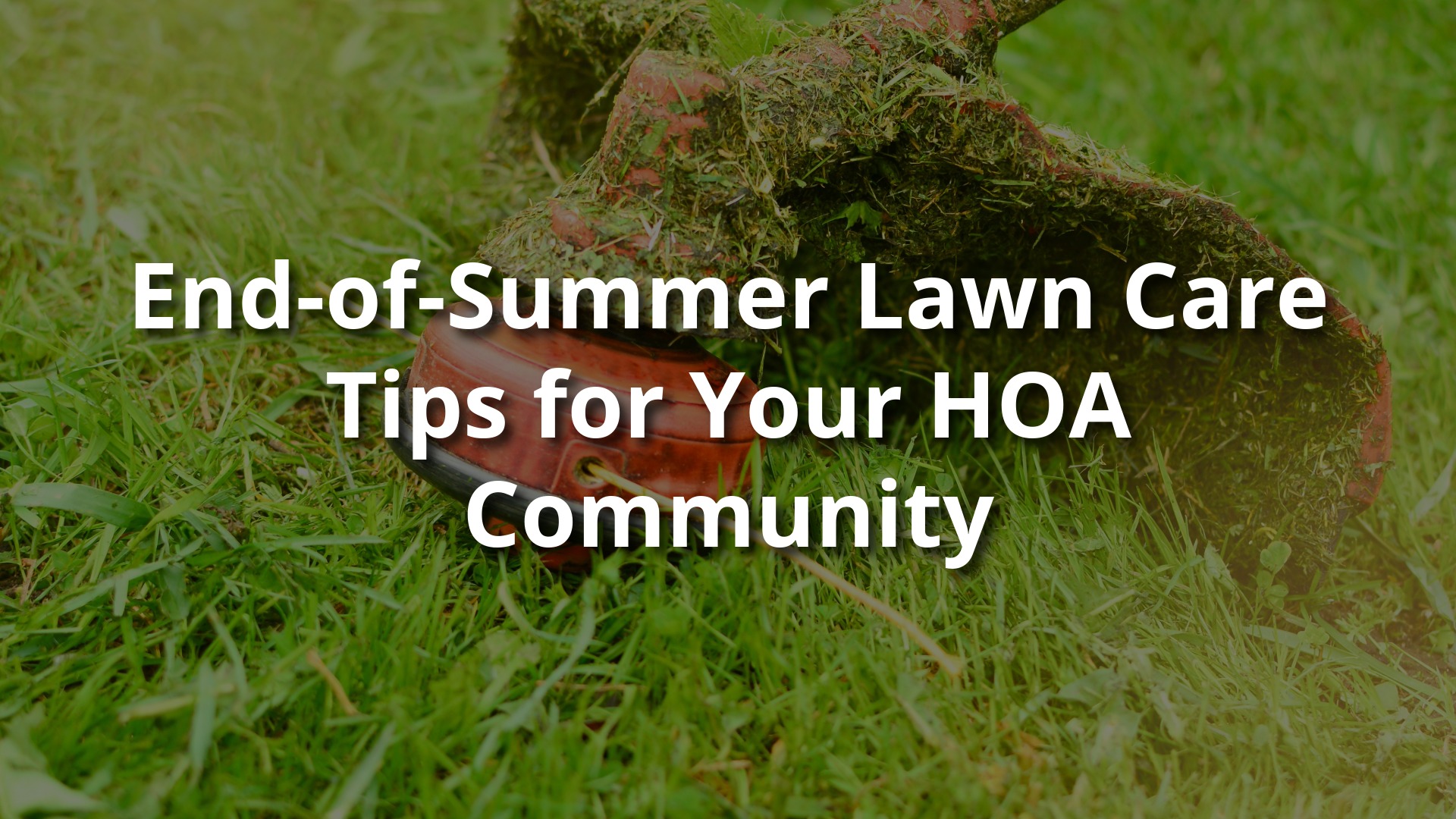 Close-up of a lawn mower blade covered in grass clippings on a freshly cut green lawn—symbolizing end-of-summer lawn care in an HOA community.