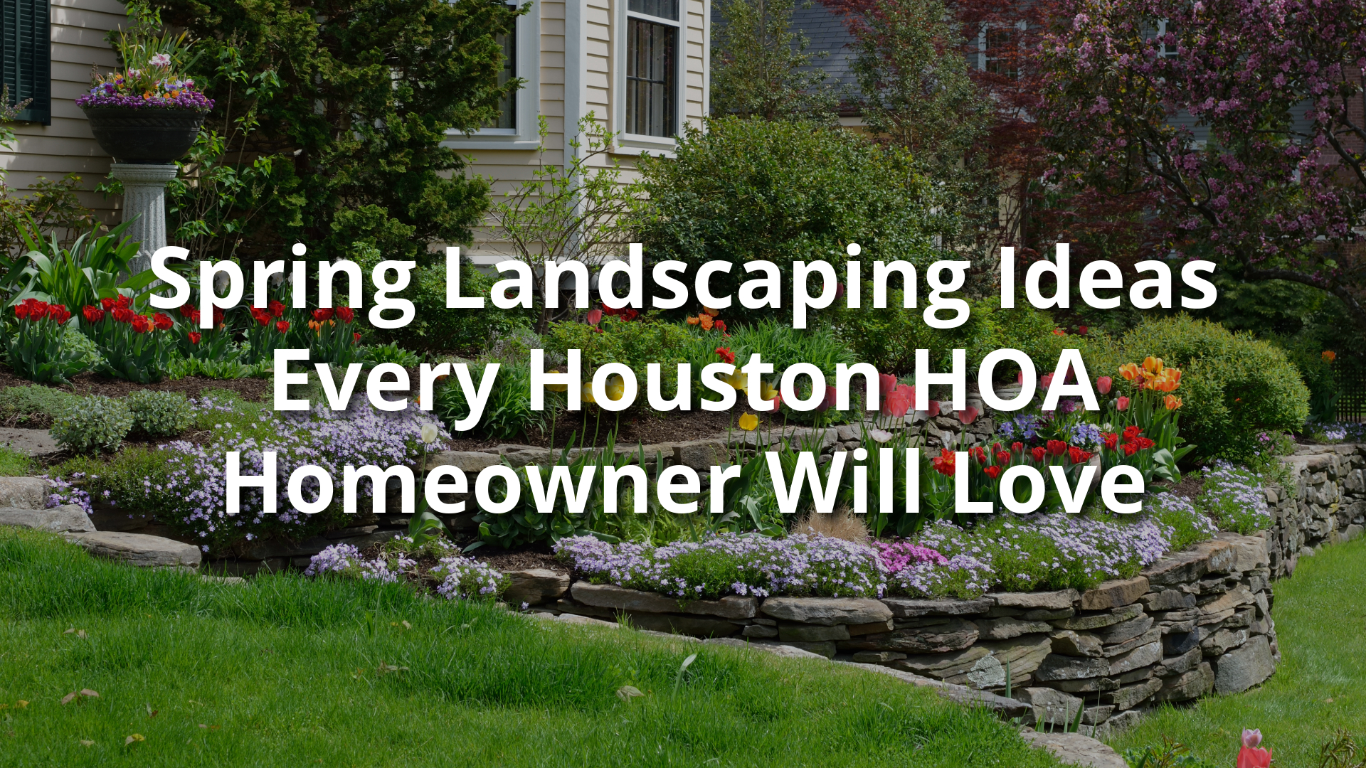 Spring Landscaping Ideas Every Houston HOA Homeowner Will Love