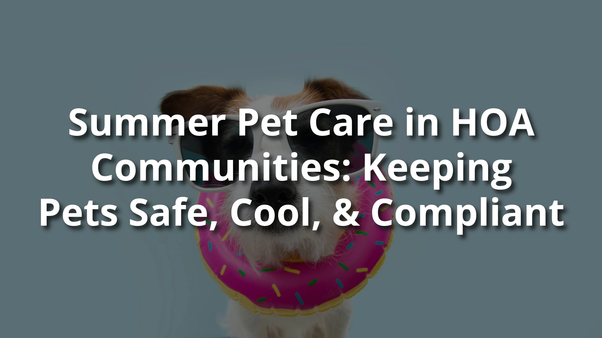 Summer Pet Care in HOA Communities: Keeping Pets Safe, Cool, and Compliant